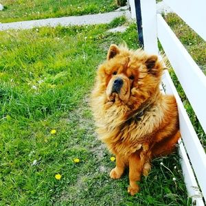 Meet your Posher, Mayumi